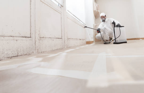 24/7 Emergency Mold Remediation experts in Concord, NC