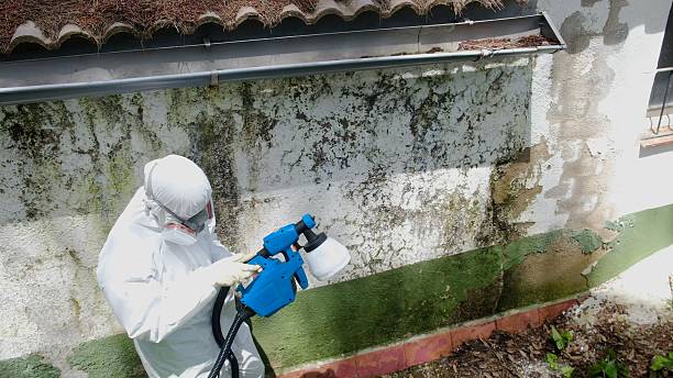 Top rated local Mold Remediation specialists in Concord, NC